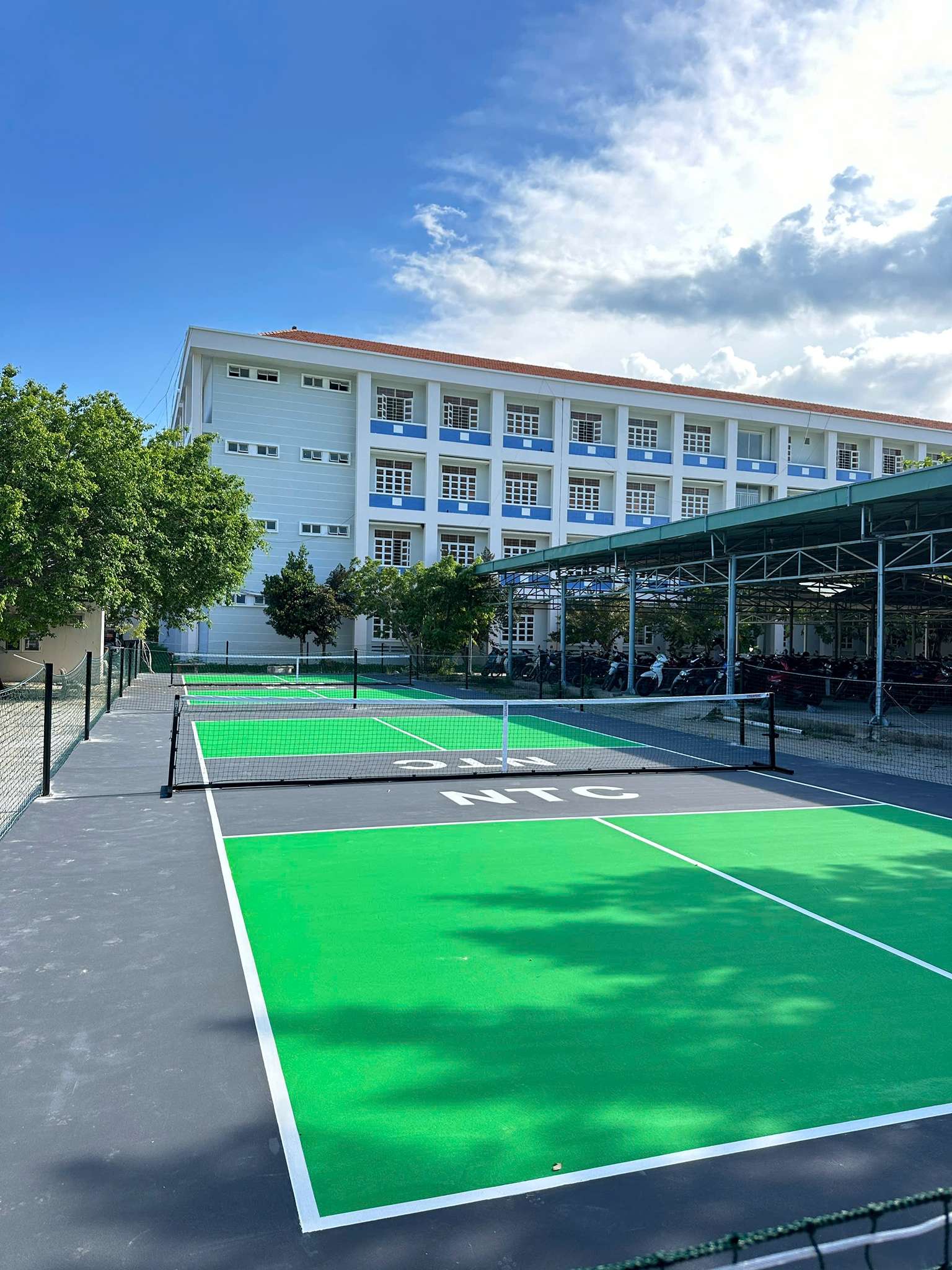 thi công sân pickleball (80) (1)