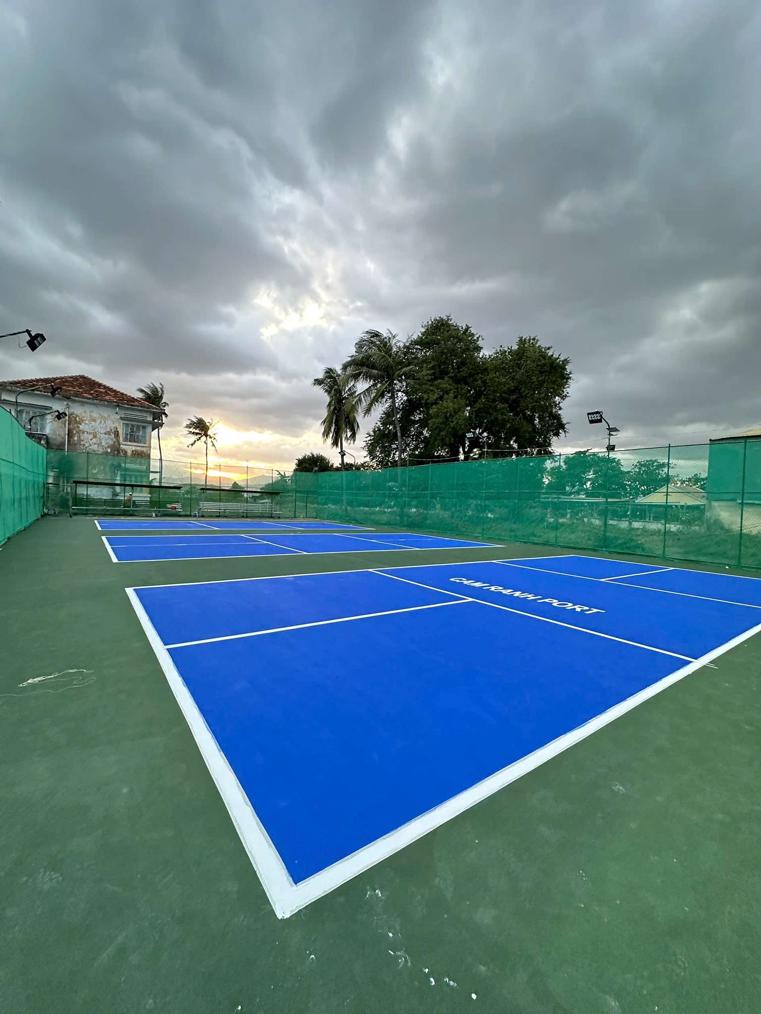 thi công sân pickleball (38) (1)
